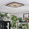 Lidor Plafonnier LED Noir, 1 lumière