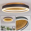 Guine Plafonnier LED Or, Noir, 1 lumière