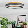 Guine Plafonnier LED Or, Noir, 1 lumière