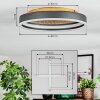 Guine Plafonnier LED Or, Noir, 1 lumière