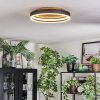 Guine Plafonnier LED Or, Noir, 1 lumière