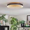 Guine Plafonnier LED Or, Noir, 1 lumière