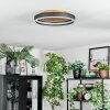Guine Plafonnier LED Or, Noir, 1 lumière