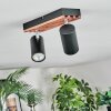 Orlan Plafonnier, Spot de plafond Chrome, Écru, Noir, 2 lumières