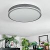 Salmi Plafonnier, Panel LED Gris, Argenté, 1 lumière, Télécommandes