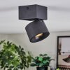 Narel Plafonnier, Spot de plafond LED Noir, 1 lumière
