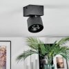 Narel Plafonnier, Spot de plafond LED Noir, 1 lumière