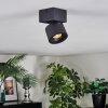 Narel Plafonnier, Spot de plafond LED Noir, 1 lumière