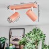 Javel Plafonnier, Spot de plafond Rose, Blanc, 2 lumières