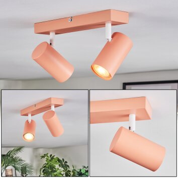 Javel Plafonnier, Spot de plafond Rose, Blanc, 2 lumières