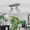 Javel Plafonnier, Spot de plafond Chrome, Gris, 2 lumières