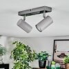 Javel Plafonnier, Spot de plafond Chrome, Gris, 2 lumières