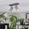 Javel Plafonnier, Spot de plafond Chrome, Gris, 2 lumières