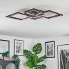 Binor Plafonnier LED Écru, Noir, 1 lumière