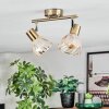 Saire Plafonnier, Spot de plafond Chrome, Laiton, 2 lumières