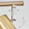 Saire Plafonnier, Spot de plafond Chrome, Laiton, 2 lumières