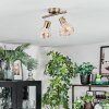 Saire Plafonnier, Spot de plafond Chrome, Laiton, 2 lumières