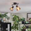 Saire Plafonnier, Spot de plafond Chrome, Noir, 2 lumières
