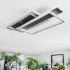 Olian Plafonnier LED Noir, Argenté, 1 lumière