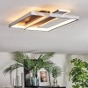 Olian Plafonnier LED Noir, Argenté, 1 lumière
