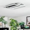 Olian Plafonnier LED Noir, Argenté, 1 lumière