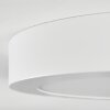 Omaro Plafonnier, Panel LED Blanc, 1 lumière