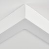 Omaro Plafonnier, Panel LED Blanc, 1 lumière