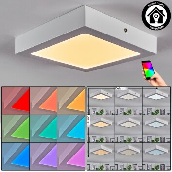 Omaro Plafonnier, Panel LED Blanc, 1 lumière, Changeur de couleurs