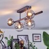 Chehalis Plafonnier, Boule lumineuse Clair, Fumé, 5 lumières