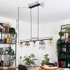 Gastor Suspension, Boule lumineuse, Suspension Ambre, Clair, Fumé, 5 lumières