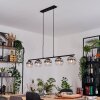 Koyoto Suspension, Boule lumineuse, Suspension Clair, Fumé, 5 lumières
