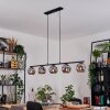Ripoll Suspension, Boule lumineuse, Suspension Fumé, 5 lumières