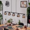 Ripoll Suspension, Boule lumineuse, Suspension Fumé, 5 lumières
