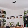 Ripoll Suspension, Boule lumineuse, Suspension Chrome, Fumé, 5 lumières