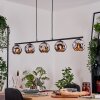 Ripoll Suspension, Boule lumineuse, Suspension Chrome, Fumé, 5 lumières
