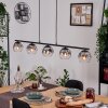 Ripoll Suspension, Boule lumineuse, Suspension Clair, Fumé, 5 lumières