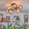 Ripoll Plafonnier, Boule lumineuse Ambre, Clair, Fumé, 8 lumières