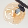 Ripoll Plafonnier, Boule lumineuse Ambre, Clair, Fumé, 5 lumières