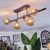 Chehalis Plafonnier, Boule lumineuse Ambre, 5 lumières