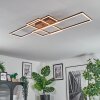Brina Plafonnier LED Brun, 1 lumière, Télécommandes