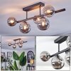 Chehalis Plafonnier, Boule lumineuse Fumé, 5 lumières