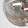 Chehalis Plafonnier, Boule lumineuse Fumé, 5 lumières