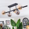 Chehalis Plafonnier, Boule lumineuse Ambre, Fumé, 5 lumières