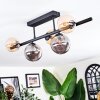 Chehalis Plafonnier, Boule lumineuse Ambre, Fumé, 5 lumières