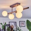 Chehalis Plafonnier, Boule lumineuse Blanc, 5 lumières