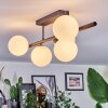 Chehalis Plafonnier, Boule lumineuse Blanc, 5 lumières