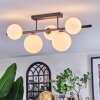 Chehalis Plafonnier, Boule lumineuse Blanc, 5 lumières