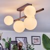 Chehalis Plafonnier, Boule lumineuse Blanc, 5 lumières