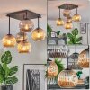 Ripoll Plafonnier, Boule lumineuse Ambre, Fumé, 5 lumières