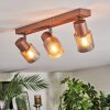 Nelar Plafonnier, Spot de plafond Bronze, Chrome, 3 lumières